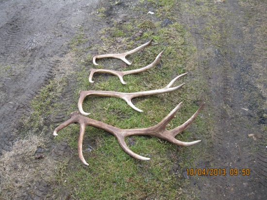 Dnešná šťastná dvojhodinovka