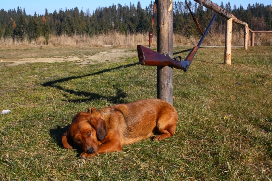 Jessy a jej zaslúžený oddych po spoločnej poľovačke