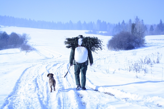 Aj keď revír nie je istý , prikrmovanie je isté