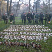 Nečekaný výřad v roce 2009