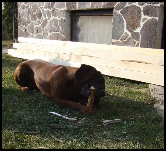 Bora - Výroba stavebného reziva :)