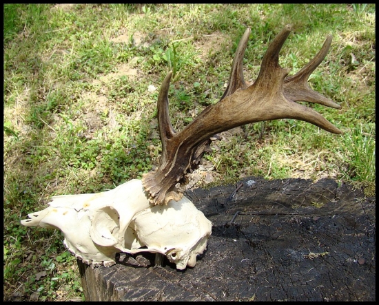 Z tých zaujímavejších...