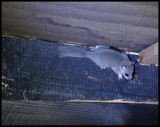 Na posede nikdy nie si sám :)