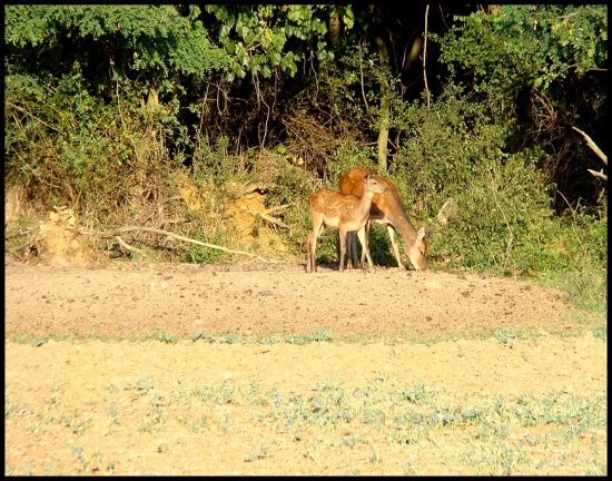 Mama a dcéra