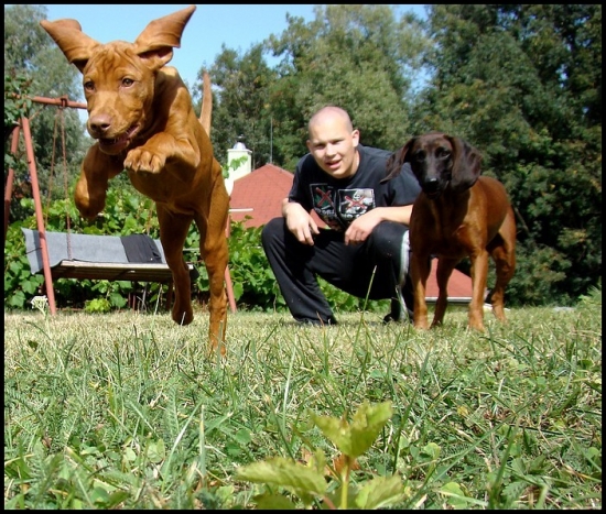 Šteňa plné energie