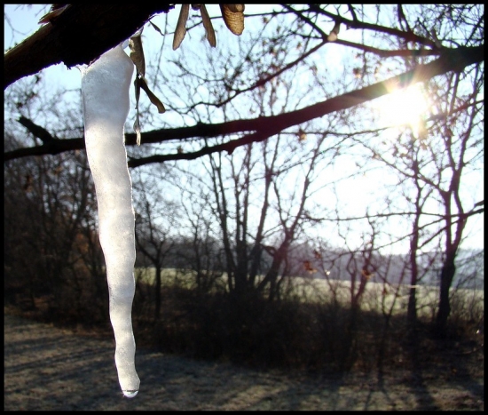 Do večera určite nevydrží...