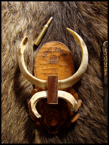 Štvrťstoročie stará trofej