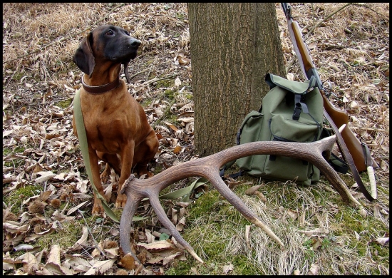 Niečo z archívu....