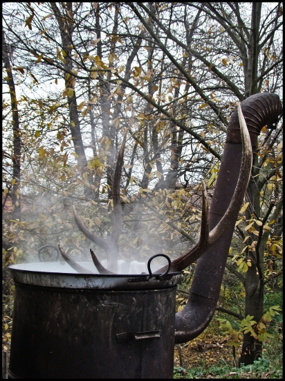 Silný vývar zo škodníka :)