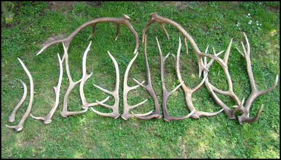 Tohtoročná sezóna