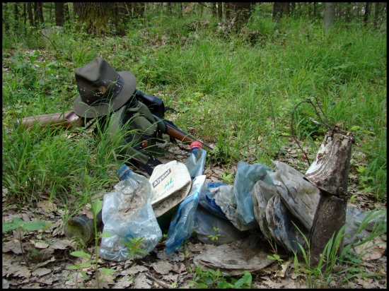 Môj dnešný ,,úlovok,,