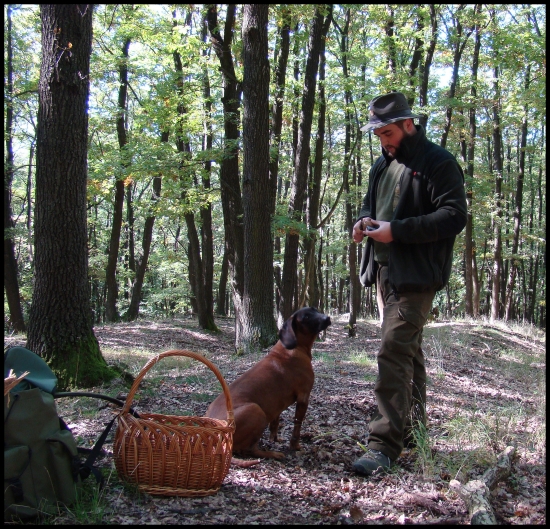,,Čo to furt zbieraš? Poď radšej nejaké diviačky pozrieme...,,