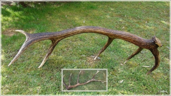 14-torák, 3 kg
