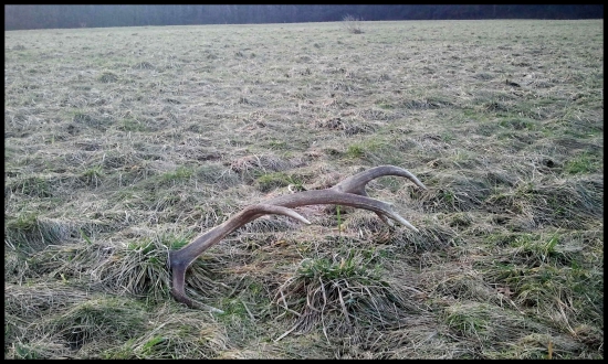 Zhodou okolností tam ležal zhod