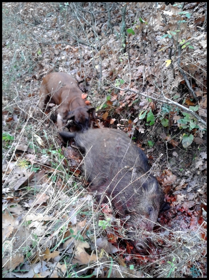 Barbora ,,Nedaj si diviačika!!