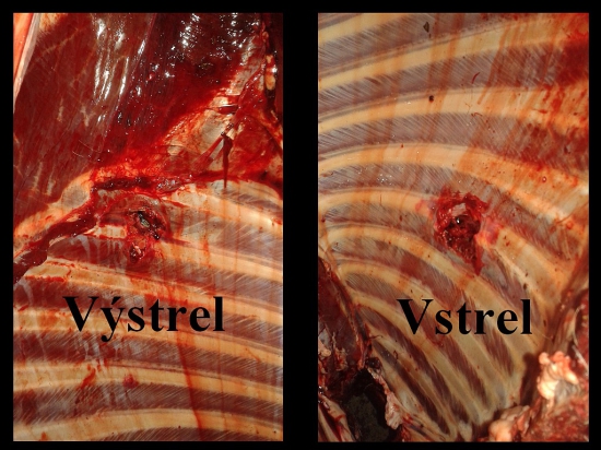 7x65R Norma Vulkan 11,0 g