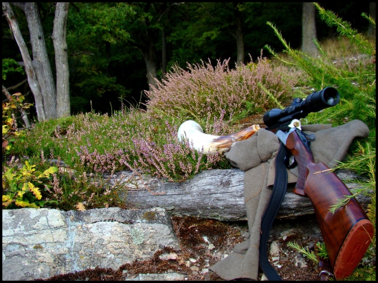 ,,Septembrové zátišie