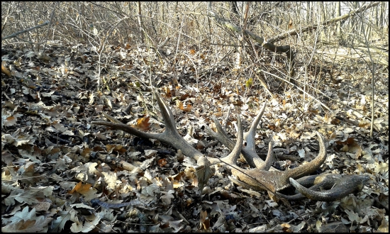 Ukážkovo ,,odložené