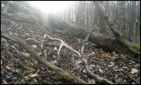 Pár nájdený vďaka fotke