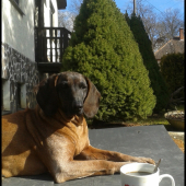 Relax ,,po bavorsky