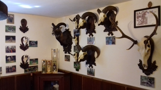 Kúsok našej poľovníckej izby ,,Rohatý kút