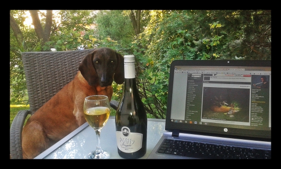 Kukáme Lovu zdar.sk