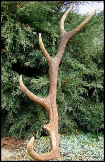 niečo z archívu...