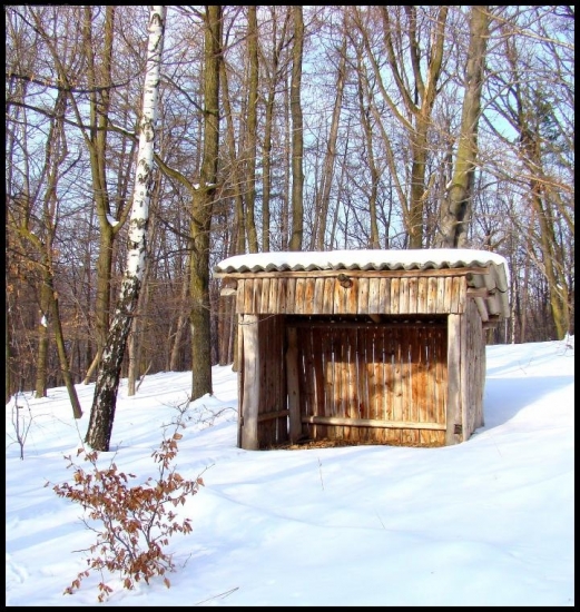 tu sa autobusu nedočkáte...:) (postavené pre lesných robotníkov)