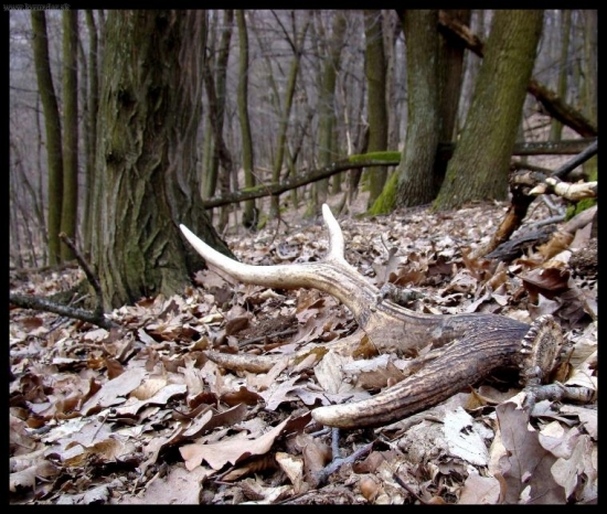 síce starý, ale potešil...