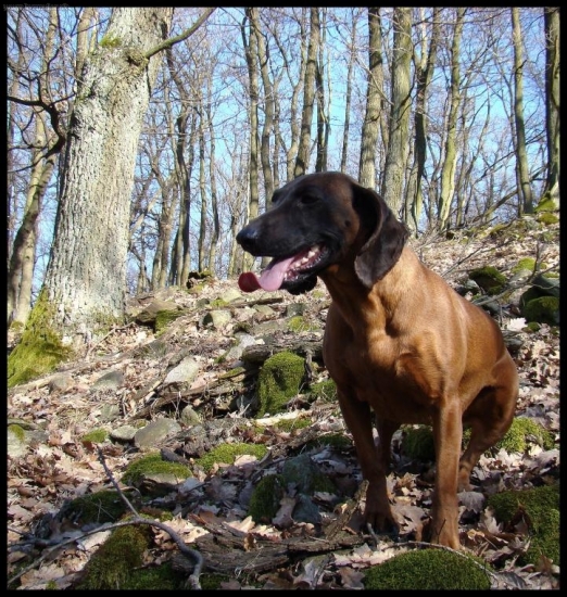 z dnešnej vychádzky...