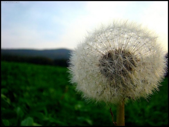 stačí fúknuť...:)