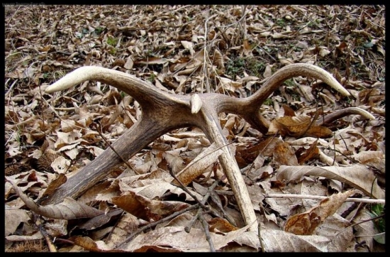 niečo z archívu...