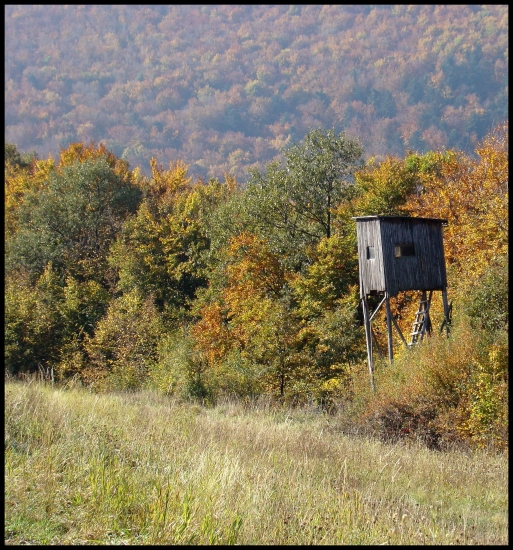 Zasadený do jesenných hôr