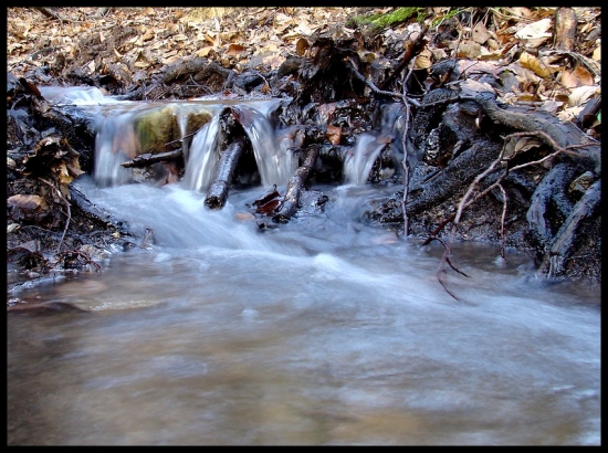 H2O