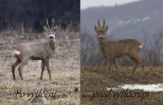 Zrkadlový odraz :)