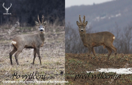 Zrkadlový odraz :)
