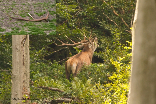 S bývalym majiteľom