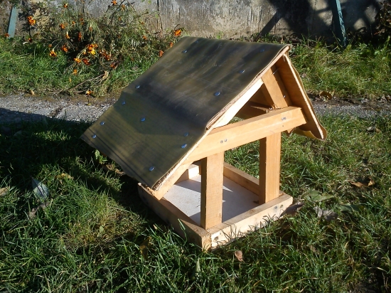 aby aj vtaciky prezili zimu v zdravi