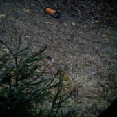 fotene cez dalekohlad :)