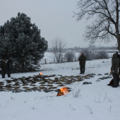 Výrad
