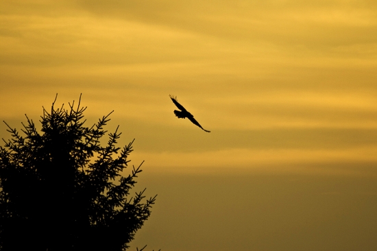 Rozlúčka s dňom...