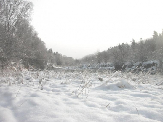 Ráno na rieke Belá