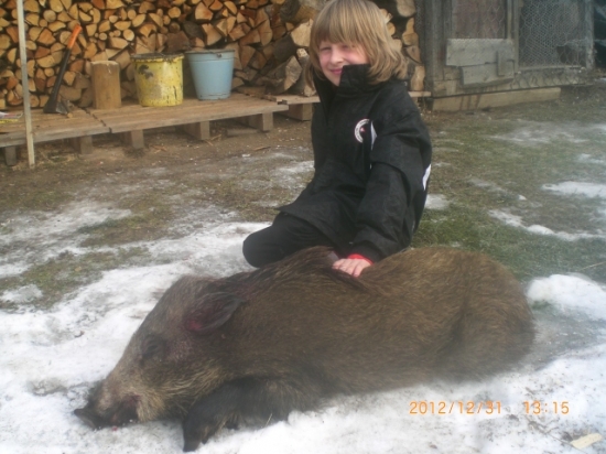 silvestrovské prasiatko