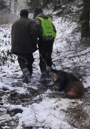 Spoločna polovačka