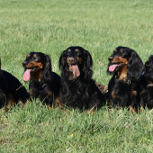 rodinne stretnutie v Nemecku