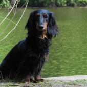 pri tréningu na rybníku