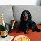 cez víkend sa oslavovalo