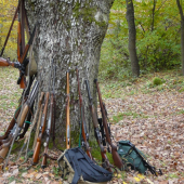 Ozbrojený starý dub.