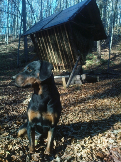 krmelec skontrolovaný