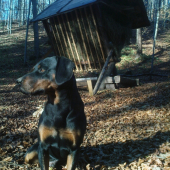 krmelec skontrolovaný